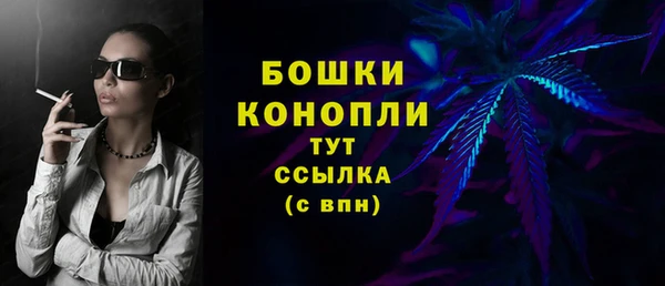 ГАЛЛЮЦИНОГЕННЫЕ ГРИБЫ Бородино