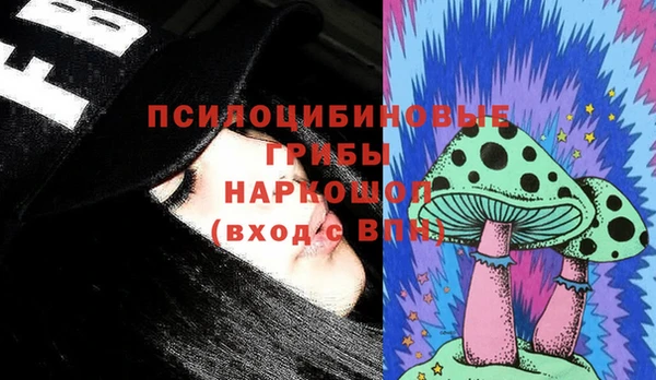 ГАЛЛЮЦИНОГЕННЫЕ ГРИБЫ Бородино