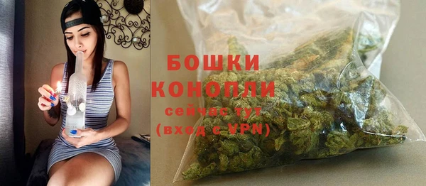 ГАЛЛЮЦИНОГЕННЫЕ ГРИБЫ Бородино