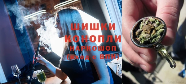 ГАЛЛЮЦИНОГЕННЫЕ ГРИБЫ Бородино