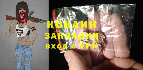 ГАЛЛЮЦИНОГЕННЫЕ ГРИБЫ Бородино